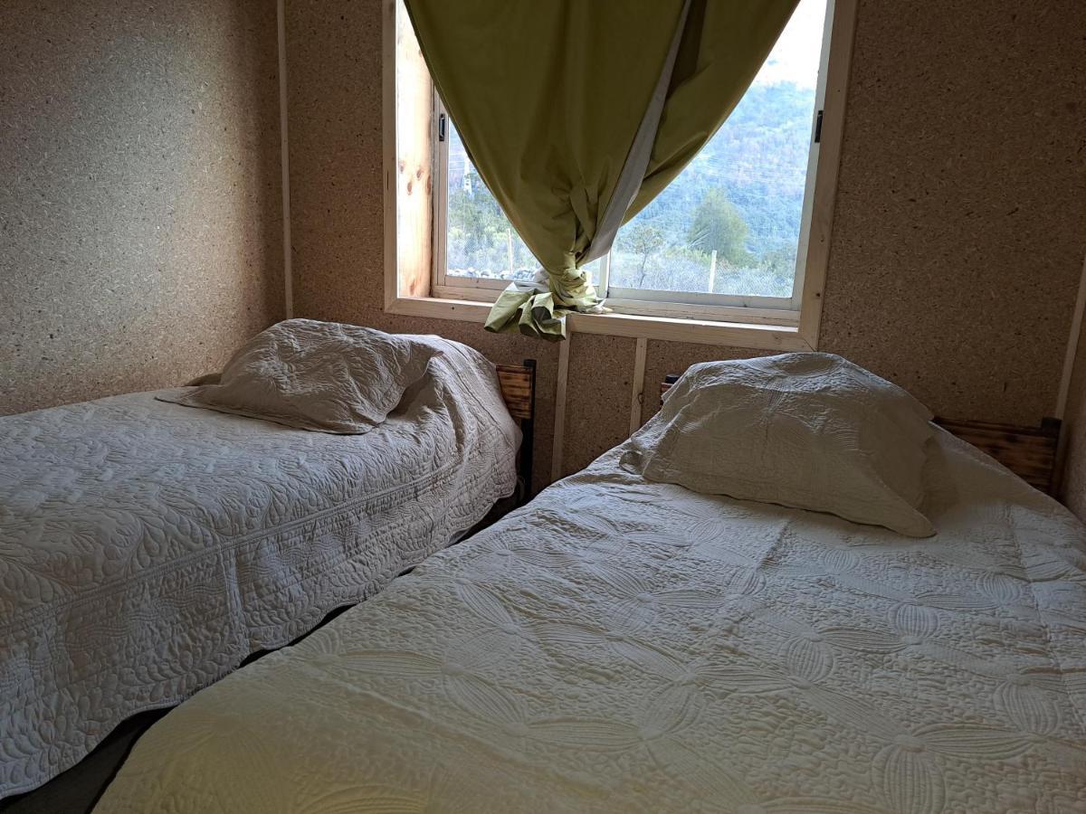 Pehuenche Cabanas